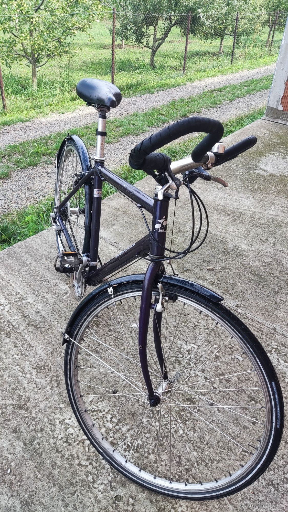 Bicicleta Bluschke