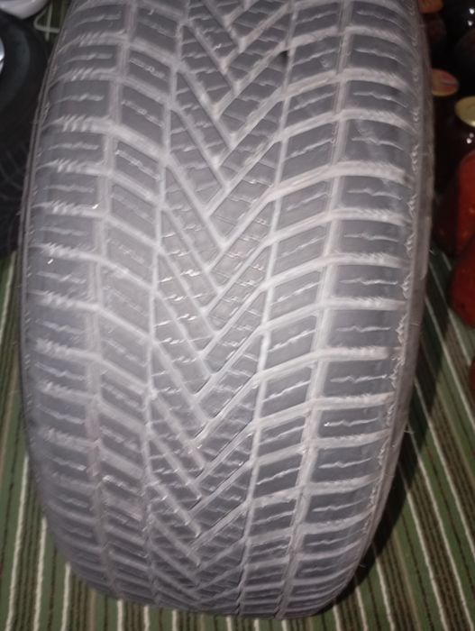 Saka diska sotiladi baloni bilan