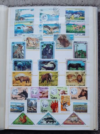 Clasor timbre filatelice nr.5