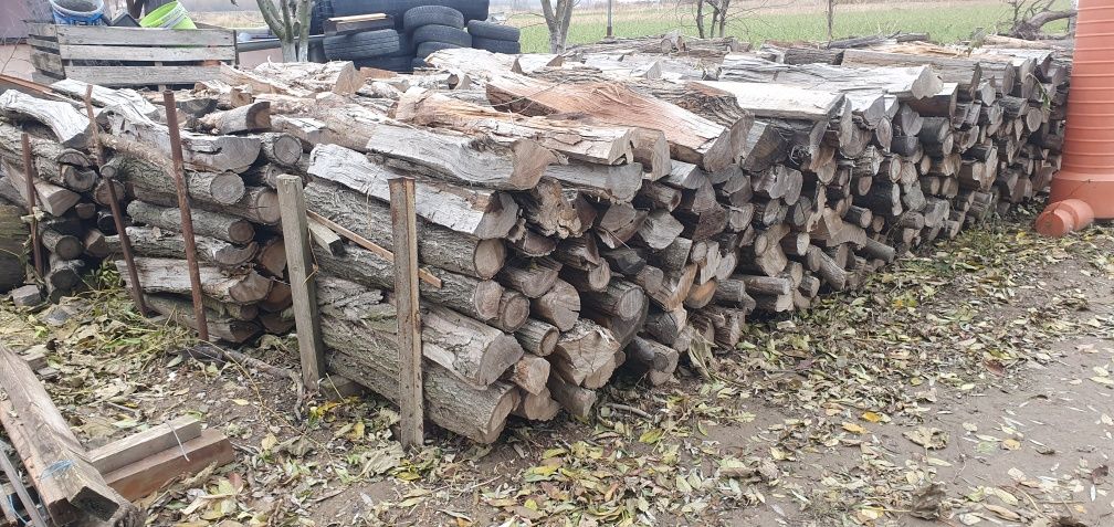 Vând lemne pentru foc