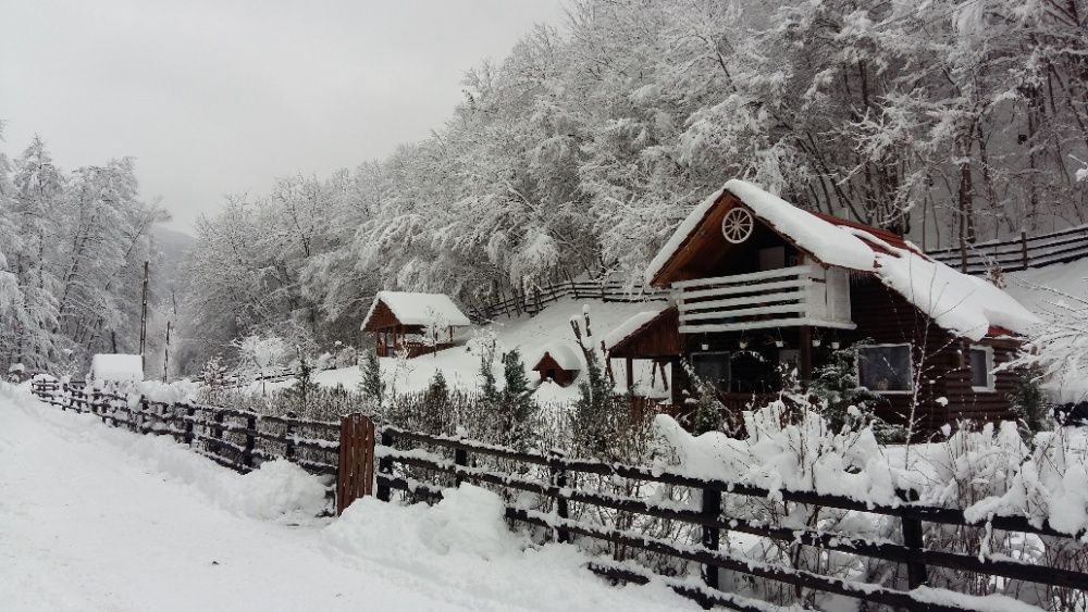 Cabană de închiriat 250 lei TOATĂ  Rustică, Tradițională Apuseni