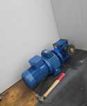 Motor. Electric Trifazic 1.5 kw cu reductor si variator