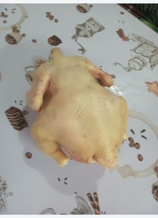 Продам домашних курей