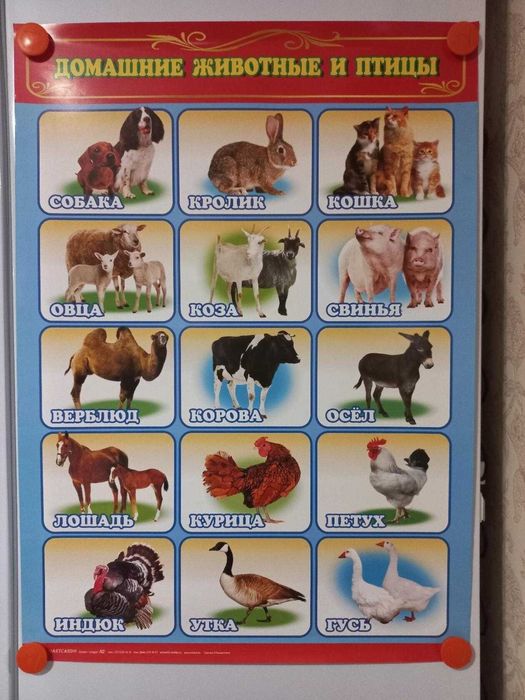 Продам плакаты по познанию мира