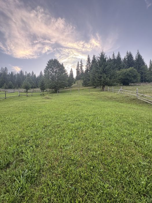 Teren de Vanzare Bucovina ! OPORTUNITATE