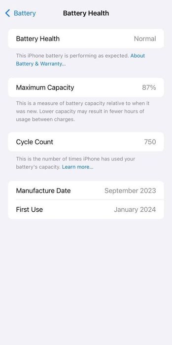 iPhone 15 Pro Max 1TB silver в идеальном состоянии