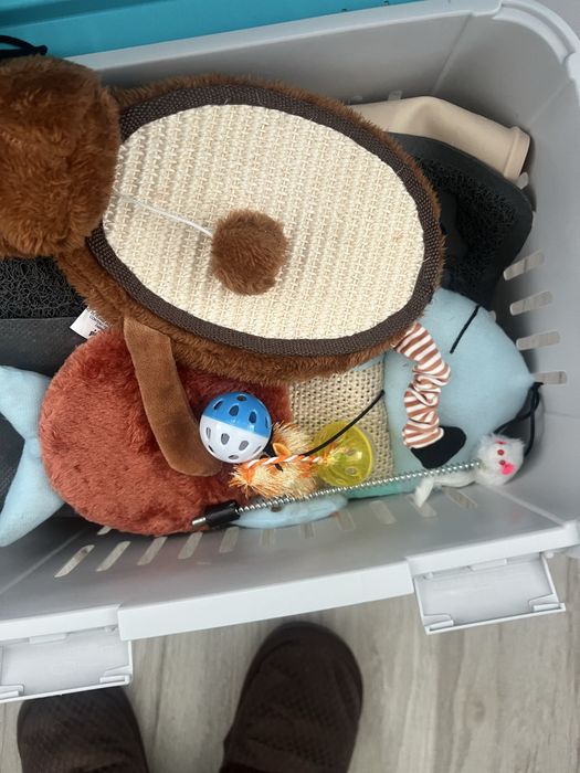 Set pentru pisici: ansamblu de joaca si transportor, stare excelenta!