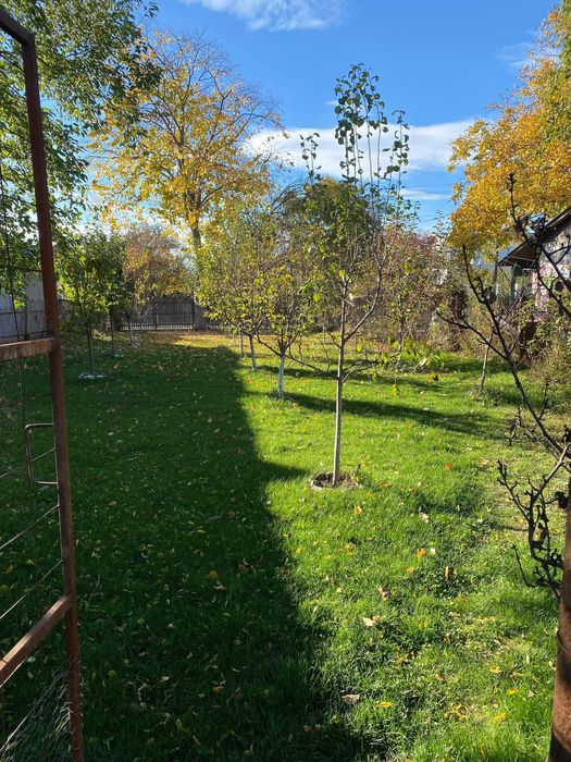 Vanzare teren intravilan situat in zona Pleasa comuna Bucov 580 mp