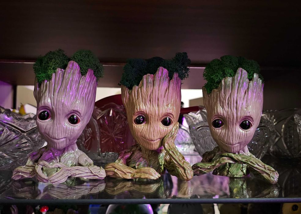 Кашпо грут+стабилизированный мох