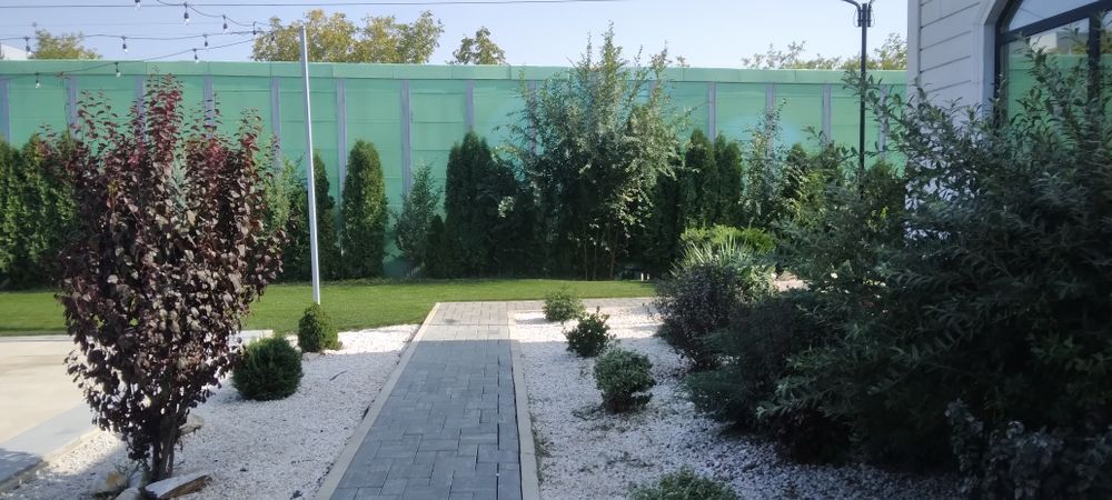 Gazon rulou calitatea 1