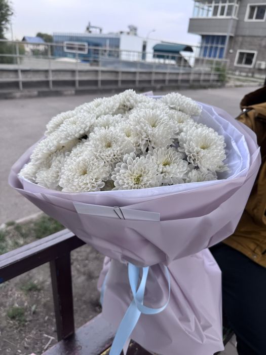 Цветы хризантемы