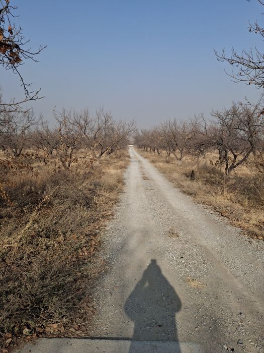 Урик утин сотилади