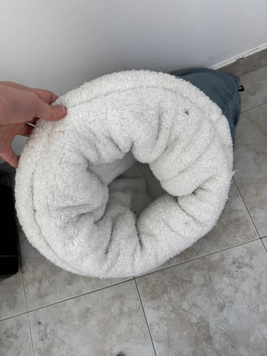 Котешки легълца.