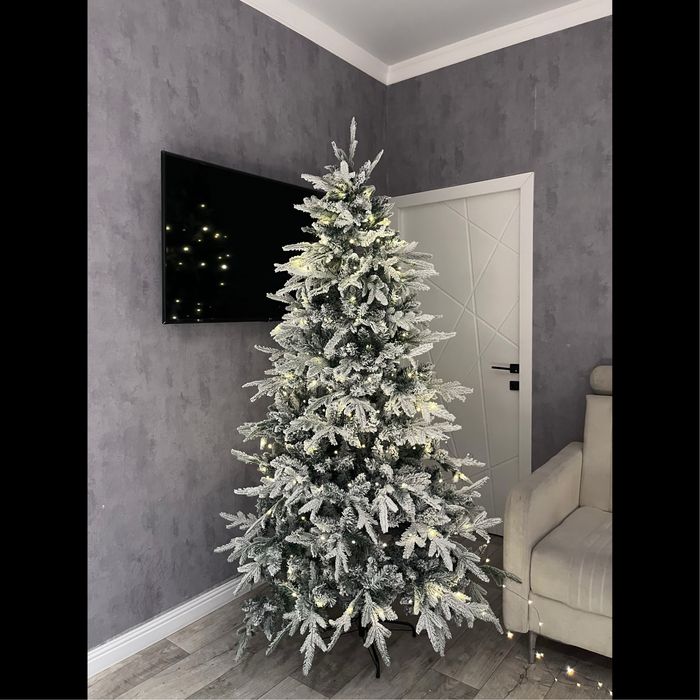 Ёлки новогодние в Караганде | Новые Елки