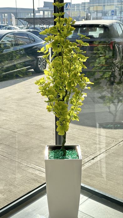 Oyiga 20 million so’m foyda ob keladigan tayyor biznes