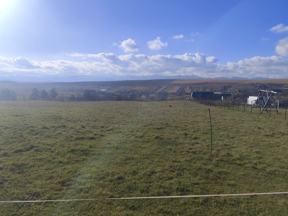 Vând teren Salicea com Ciurila