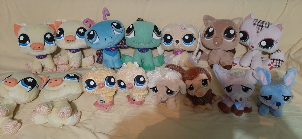 Poney,catei,iepurasi,acute,oite,lps