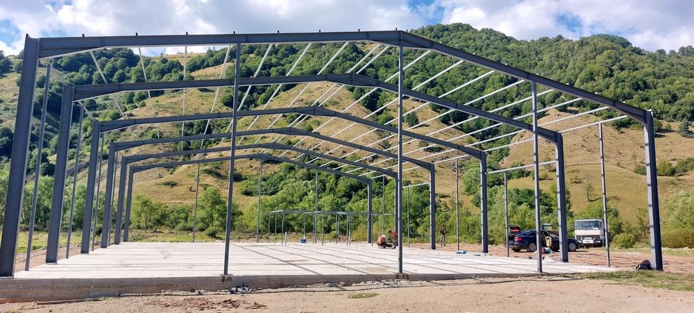 Vand structura metalica 20x30x6