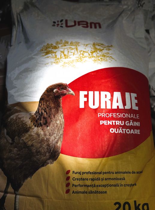 Concentrat Profesional Găini Ouătoare sac 20 kg