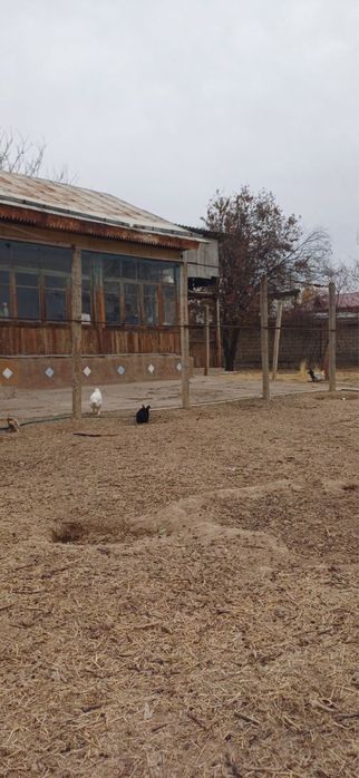 Продаю свою землю