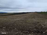 Teren extravilan 5600mp Daia Romana - Alba