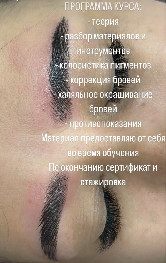Обучение Архитектура бровей