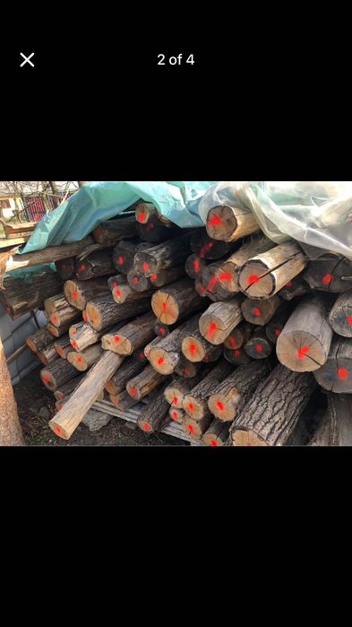 Stalpi gard stejar ,spalieri stejar