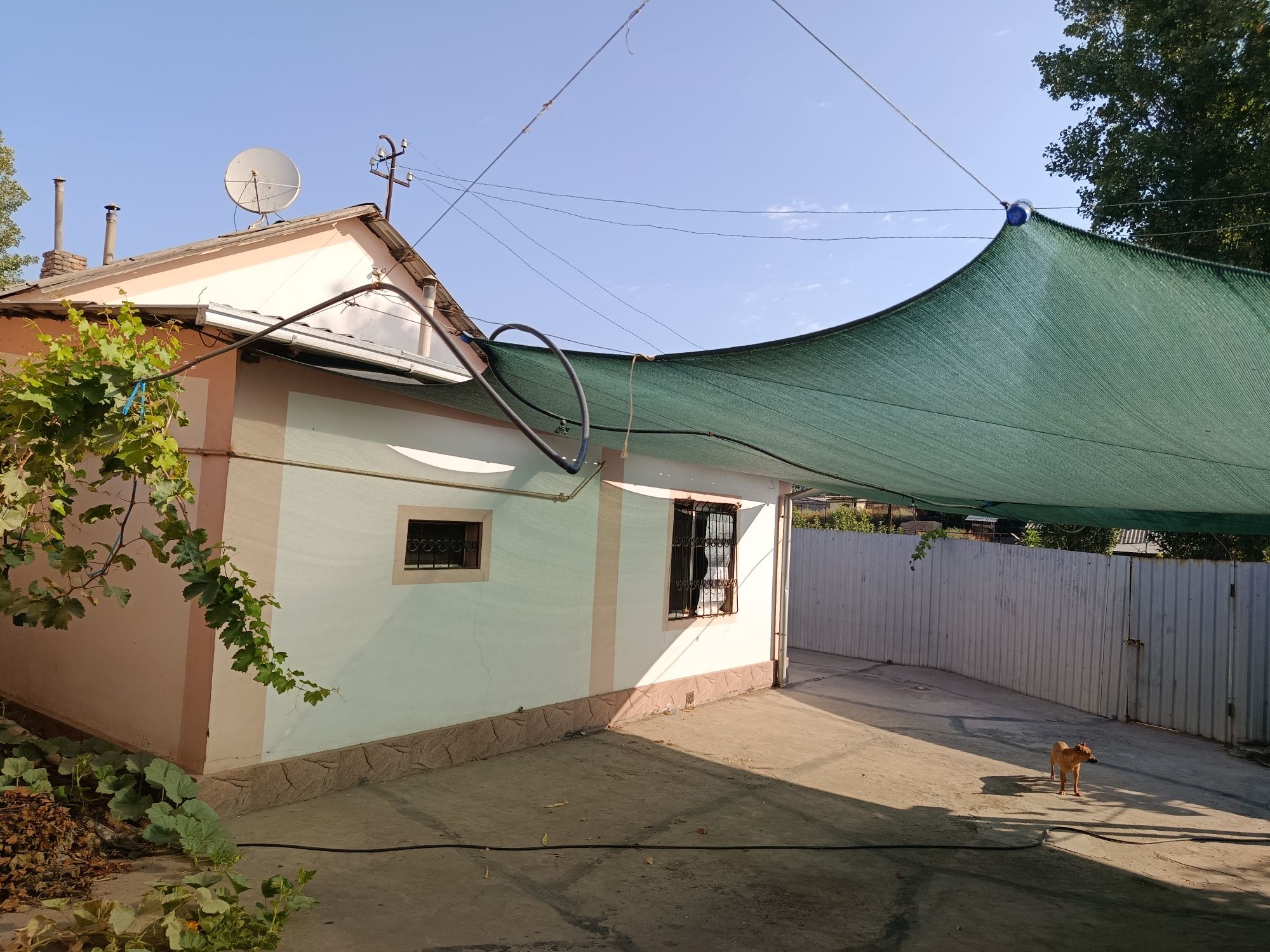 Дом после кап ремонта, находится в хорошем тихом районе.