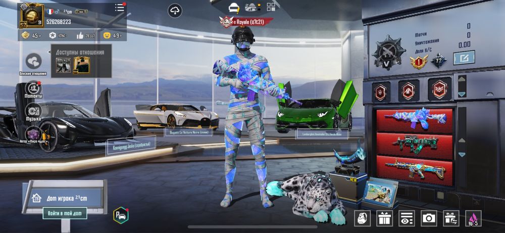 Pubg Mobile (Пабг) акаунт с 1 сезона
