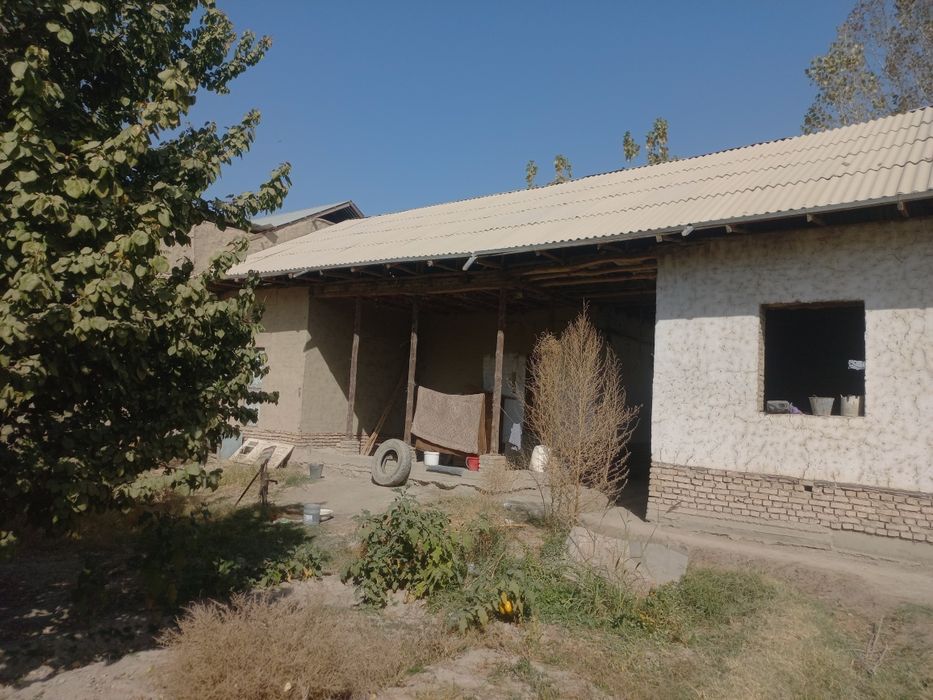 Chinobotda 6 sotix uy sotiladi