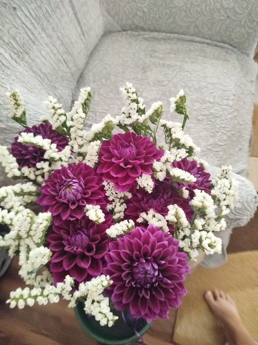 Продам корни Георгины