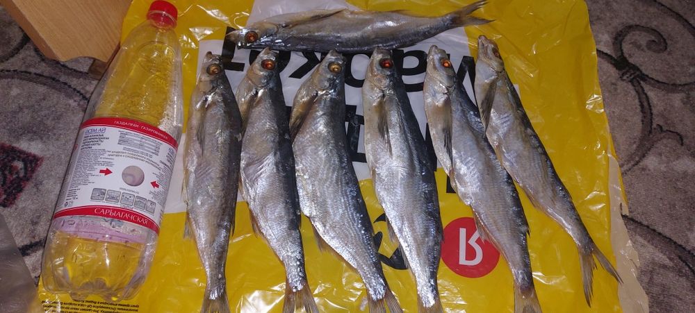 Продам рыбу Чехня