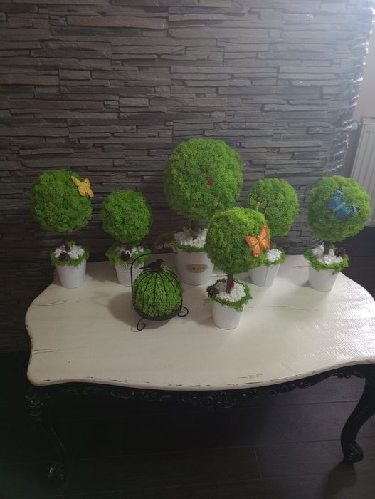 Ornamente cu lichieni