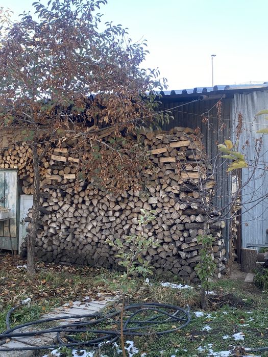 дрова карагач баня/шашлык