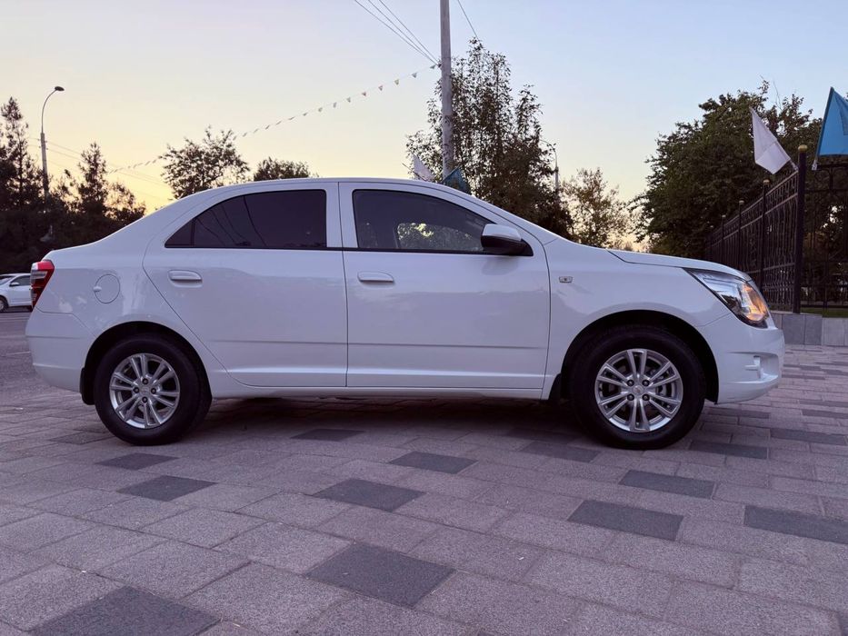 Koblt KRASKA TOZA 2024 Cobalt