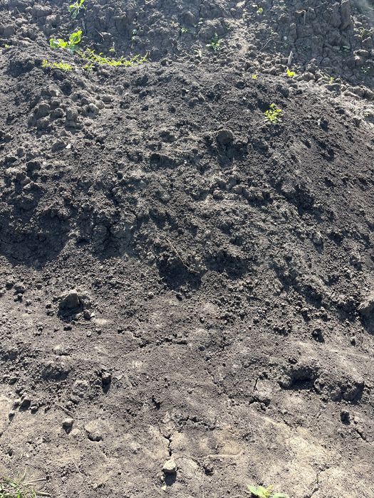 Pămant negru vegetal/ lut