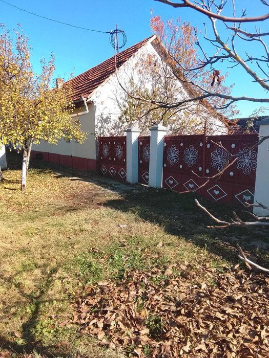 Casa de vanzare la 50km de Timisoara