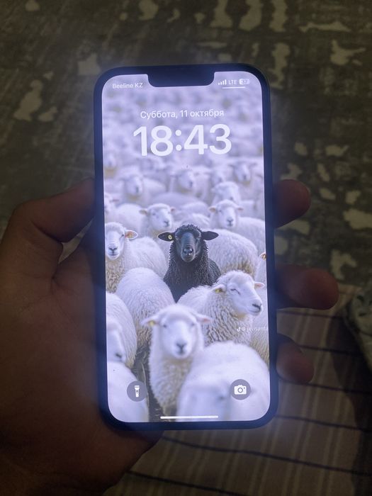 Айфон 13 срочна.