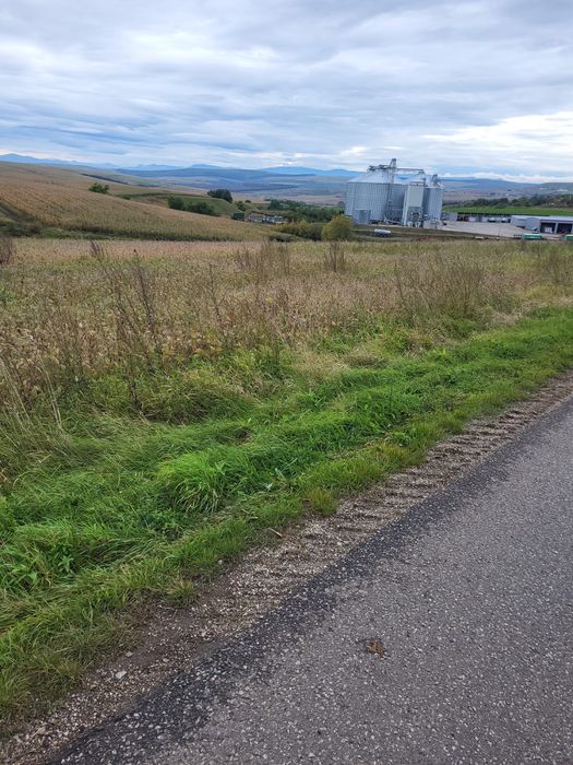 Teren de vanzare sat Rediu intravilan