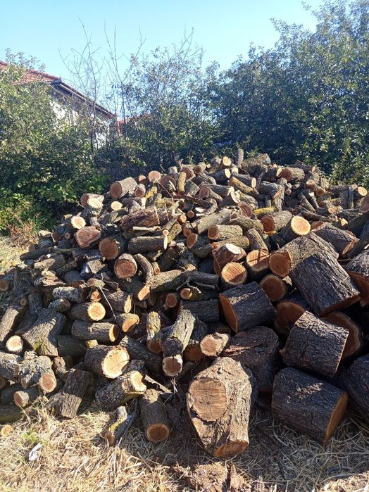 Продавам Дърва за огрев
