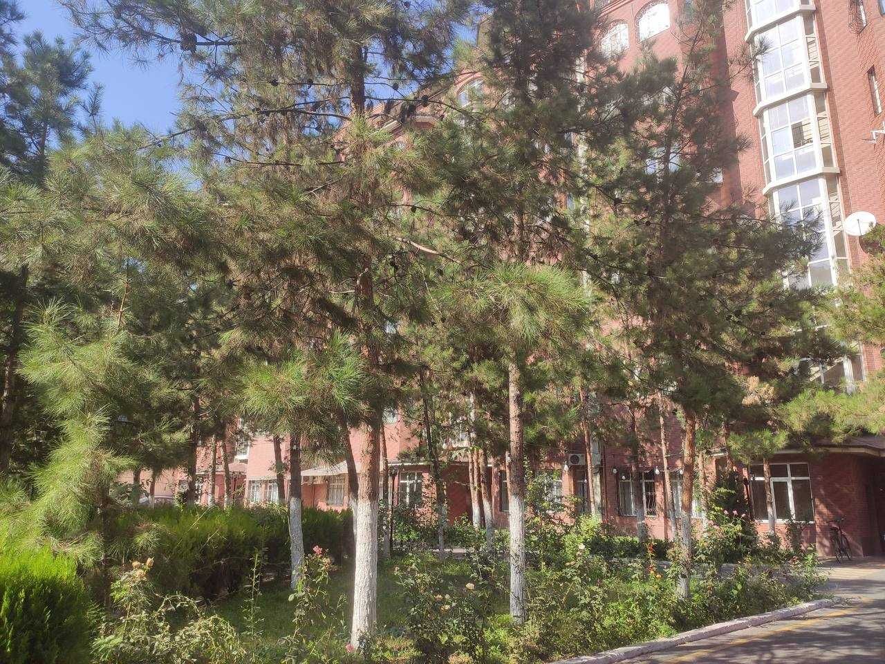 ОТ СОБСТВЕННИКА продаётся свежая Габус 3-х 140м, ЛОФТ на С. Азимова ц1