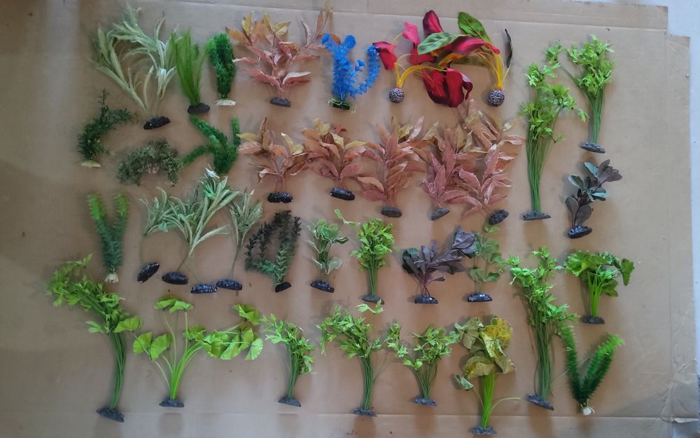 Plante pentru acvariu (200buc)