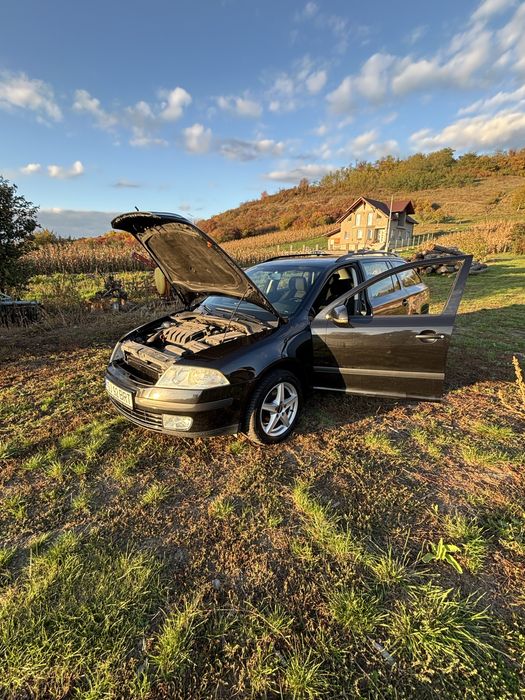 Skoda Octavia 1.9 TDI 4x4 2007 105cp
