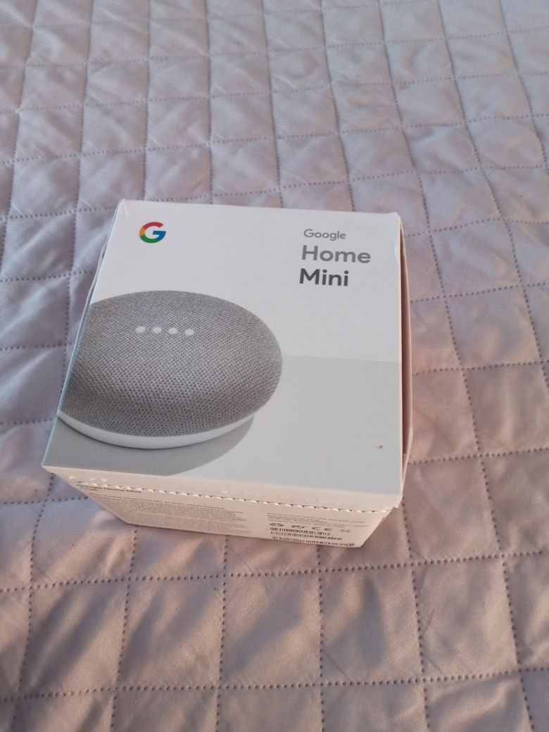 Google Home Mini assistant