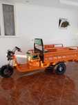 Triciclu Electric cu remorca