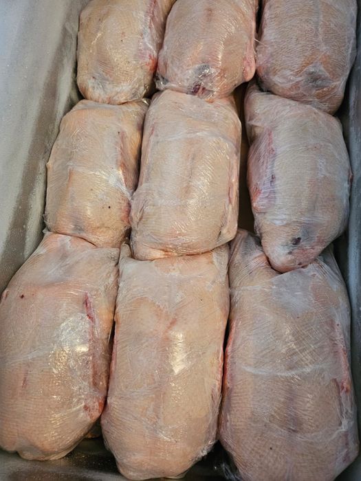 Продаются туши гуся— партия 600 КГ!2900