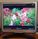 Vand monitor Philips