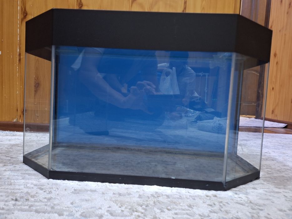 Аквариум для рыб