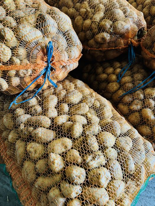 Cartofi pentru animale