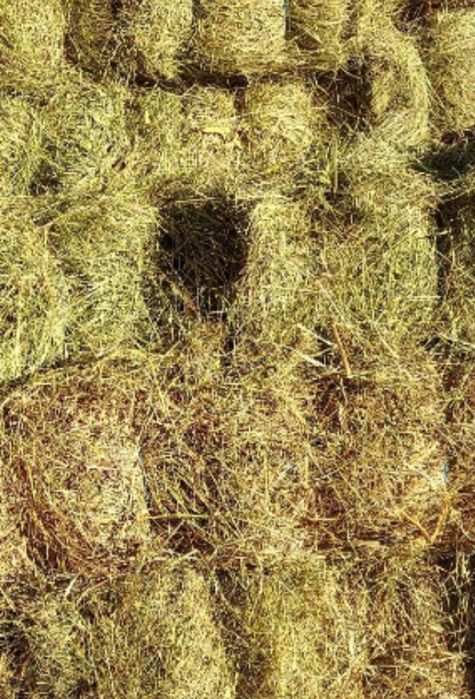 Baloti de fan și lucerna